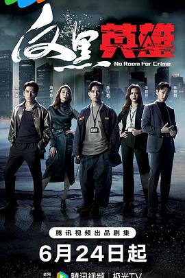 亚洲综合激情另类小说区海报